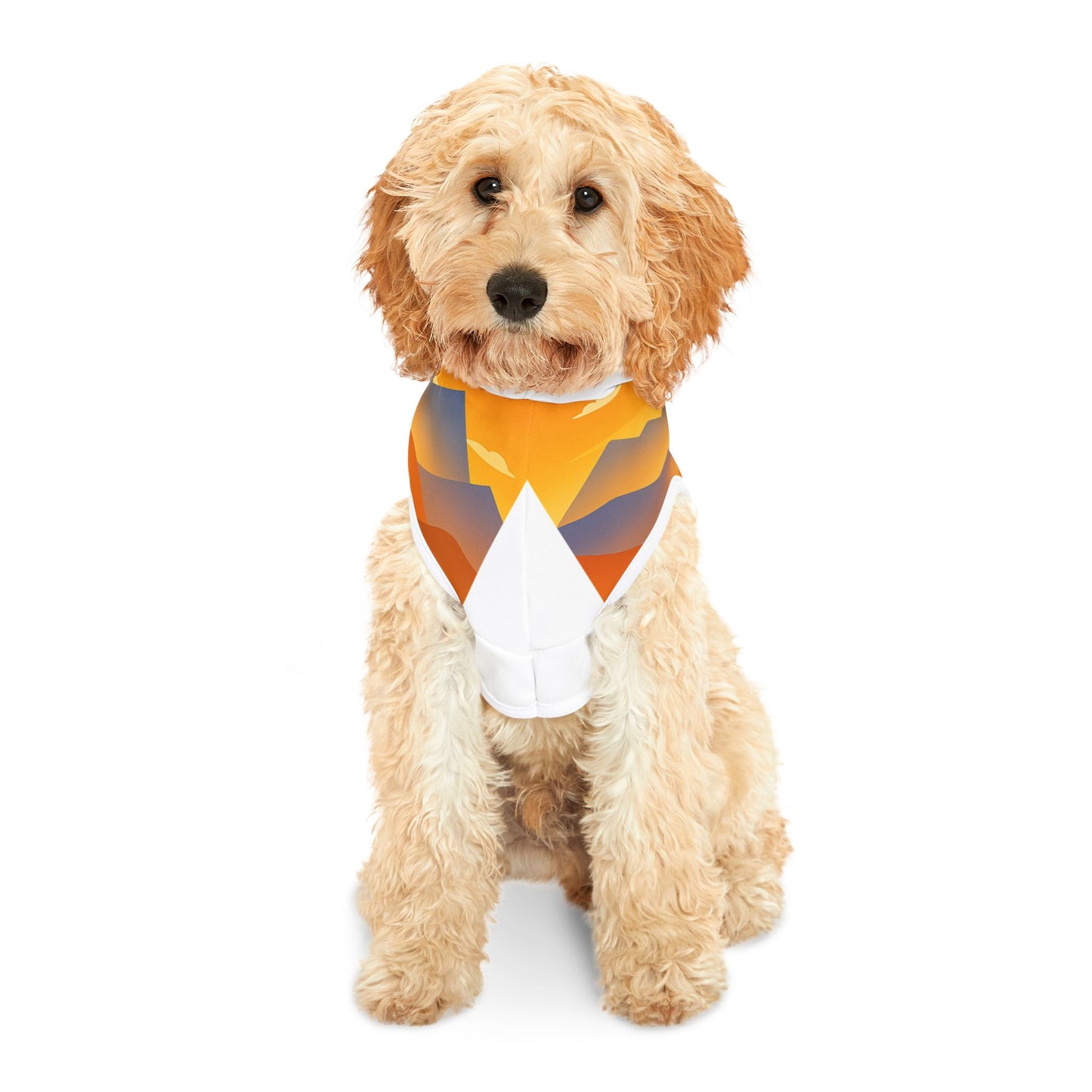 Dog Hoodie